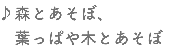 森とあそぼ、葉っぱや木とあそぼ